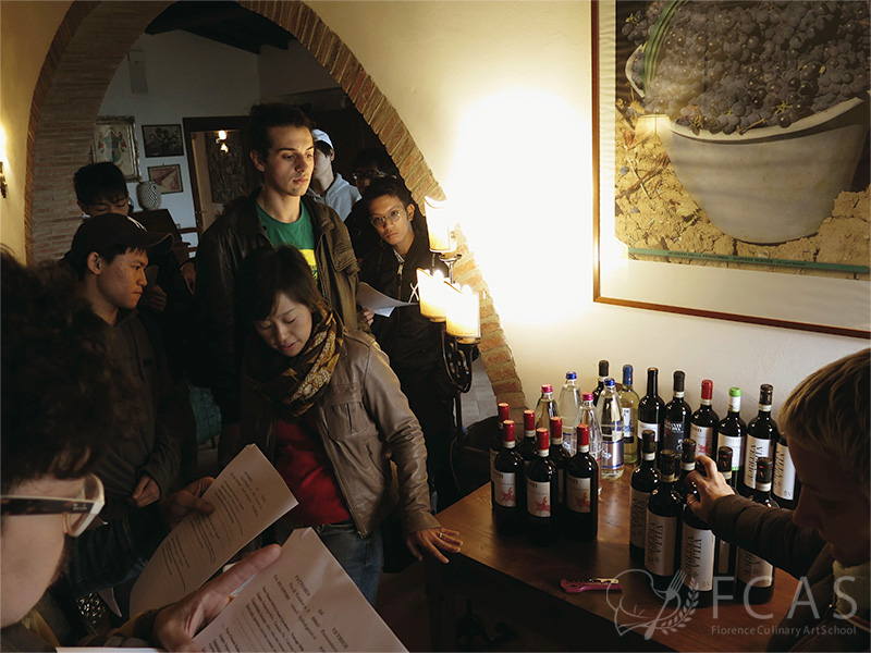 Study Visit to the Wine cellar