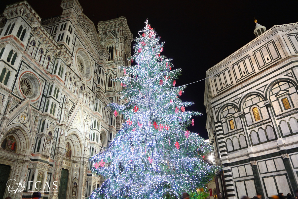 イタリア料理留学　イタリアクリスマス　大聖堂とクリスマスツリー