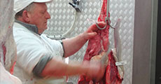 Visit to meat processing facility