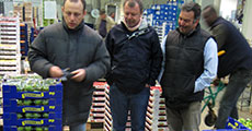 Visit to food wholesaler