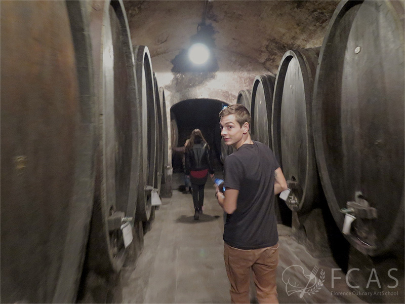 Study Visit to the Wine cellar