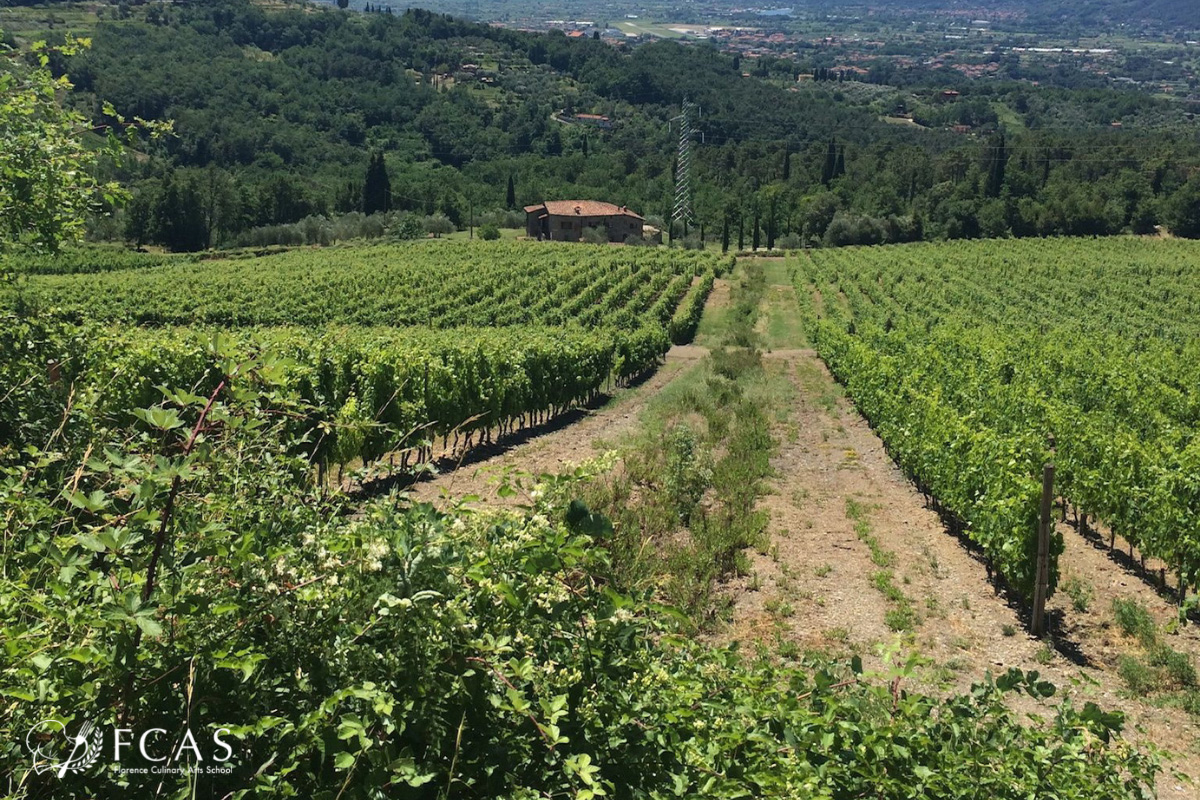 卒業生インタビュー、イタリア料理、フィレンツェ、フィレンツェ料理学園、シェフ養成コース、イタリア、フィレンツェ、イタリア料理留学、イタリア留学、イタリア長期留学、イタリア短期留学