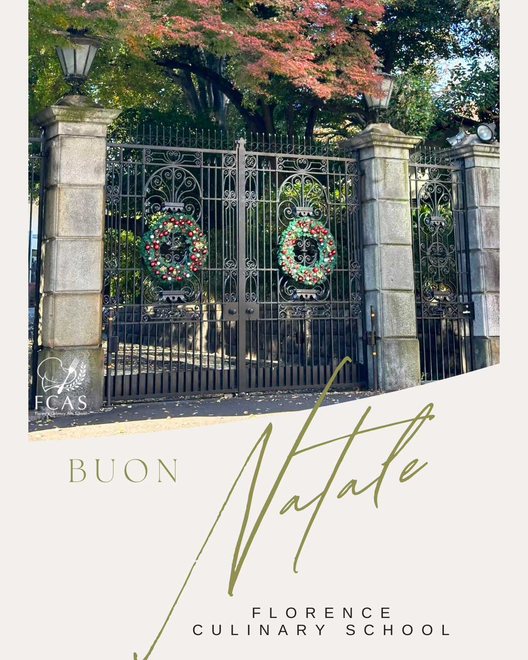 イタリア料理留学　Buon Natale　メリークリスマス