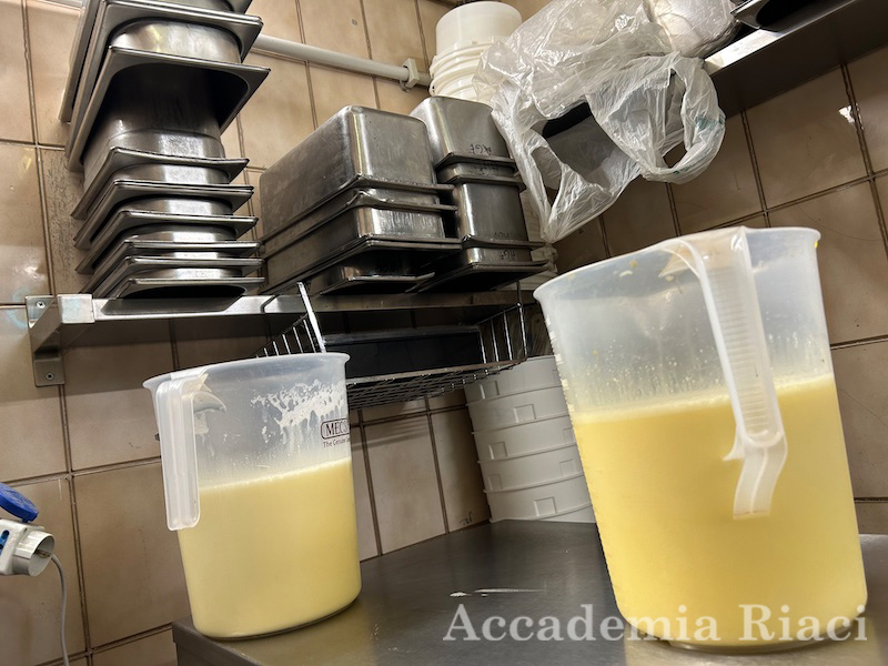 Gelato blog