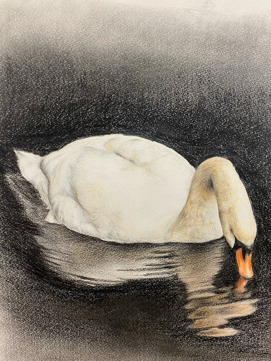 Painting and Drawing blog