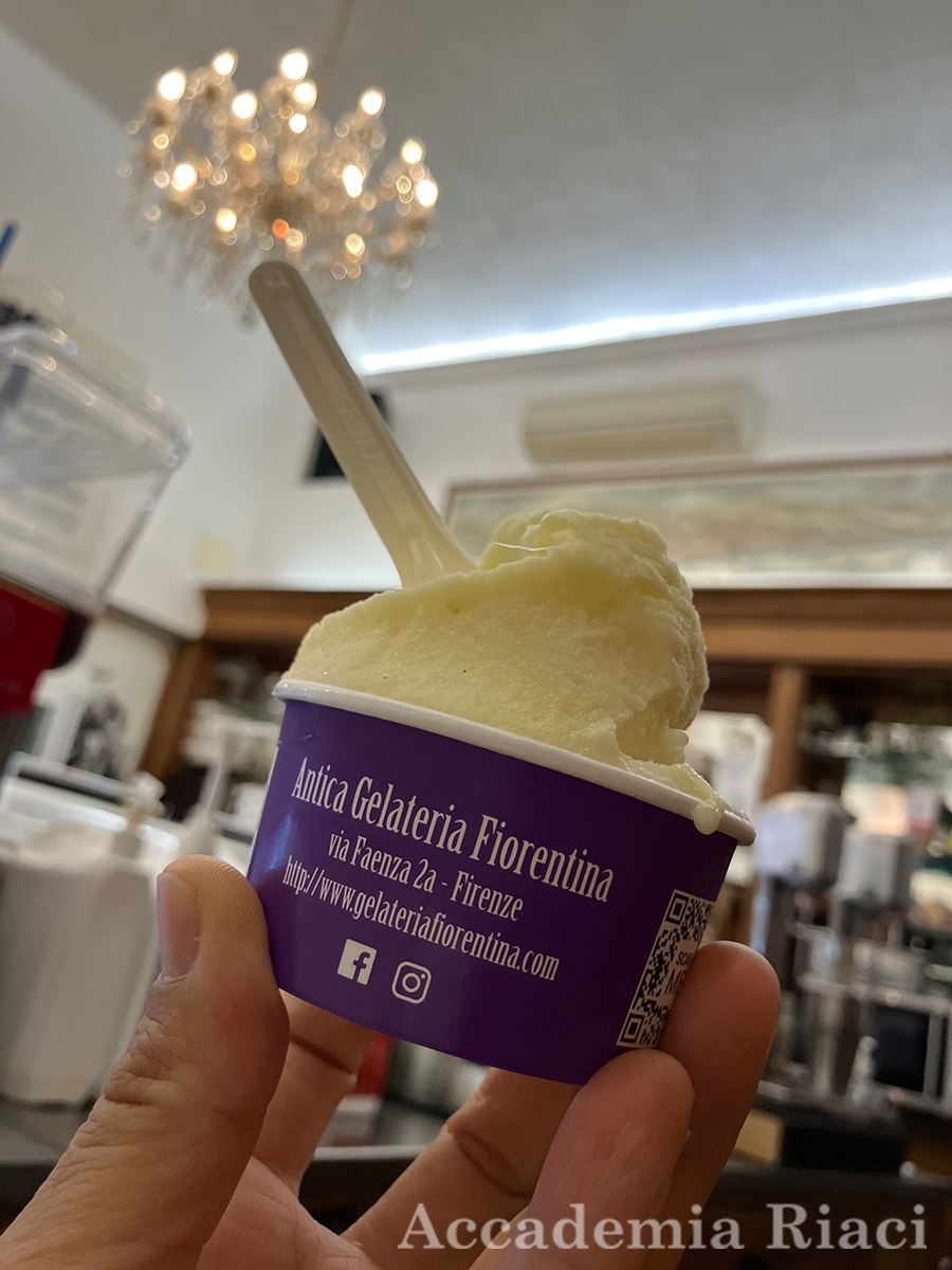 Gelato/Home Cooking blog