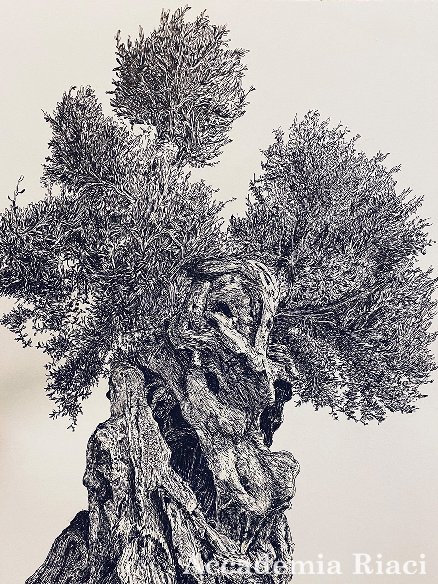 Painting and Drawing blog