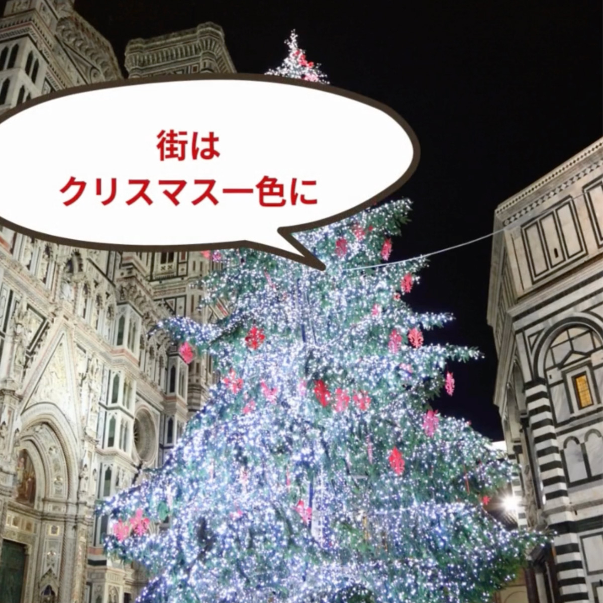 イタリア料理留学 フィレンツェ料理学園 イタリアのクリスマス