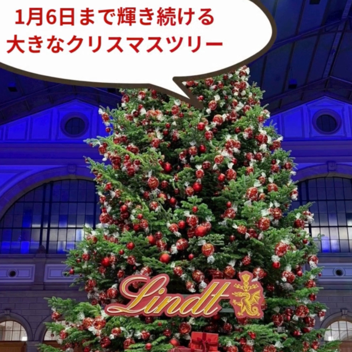 イタリア料理留学 フィレンツェ料理学園 イタリアの冬