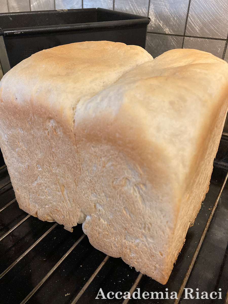 Gelato Internship blog