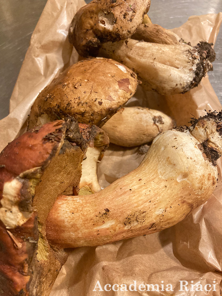 Gelato Internship blog