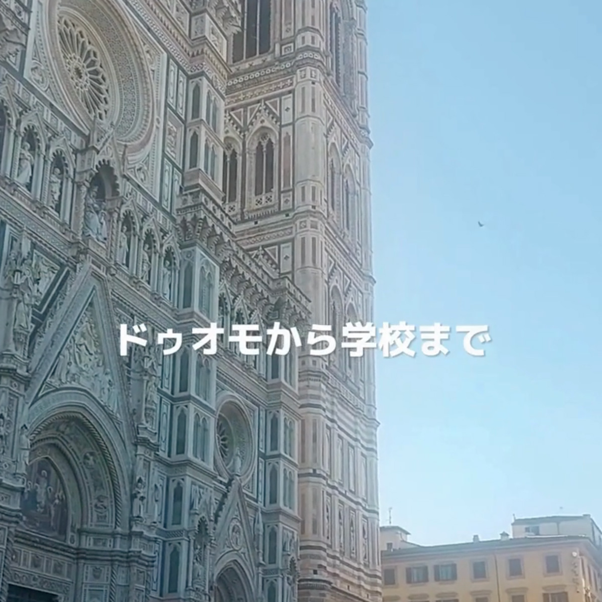 イタリア料理留学 フィレンツェ